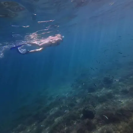 Luxury Adria With Private Pool And Sea View דירה ווינייראץ